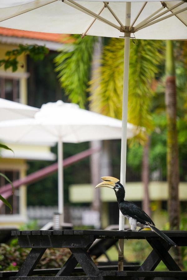 Anjungan Beach Resort Kampung Teluk Nipah Exteriör bild